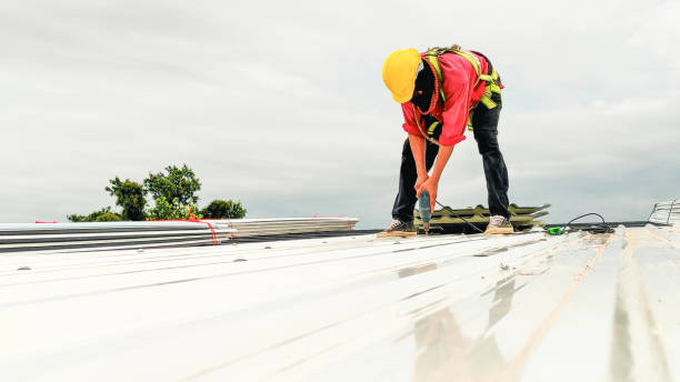 Best Roof Maintenance and Cleaning  in Leipsic, OH