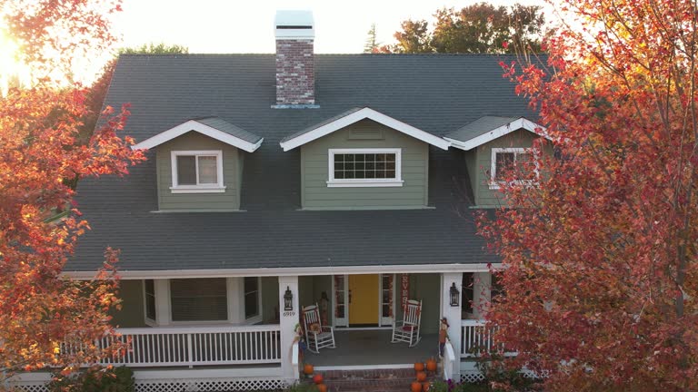 Best Roof Moss and Algae Removal  in Leipsic, OH