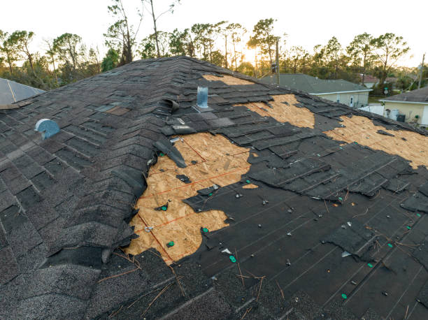 Best Solar Panel Roofing Installation  in Leipsic, OH
